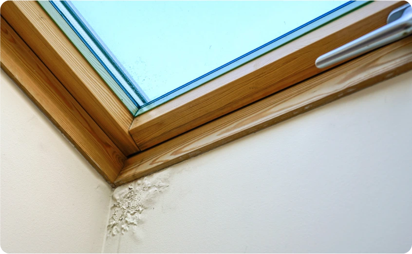 Schimmelflecken an der Ecke einer Wand unter einem Dachfenster.