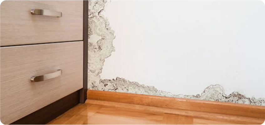 Schimmelschäden an der unteren Wand neben einem Möbelstück.