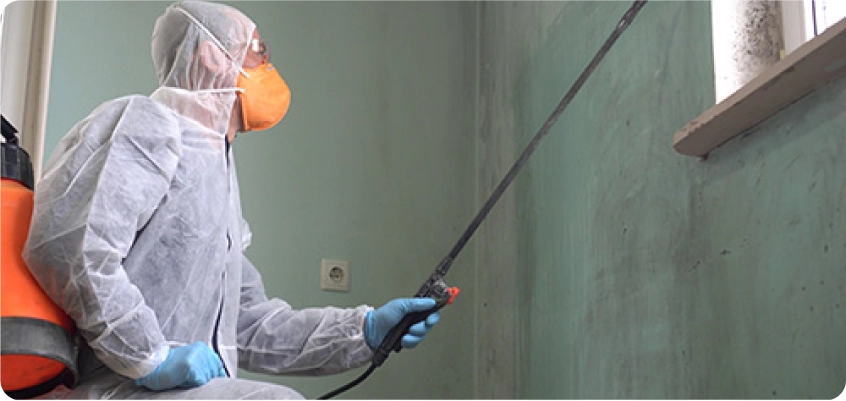 Person in Schutzanzug und Atemmaske sprüht eine Wand mit einem Reinigungs- oder Desinfektionsmittel.